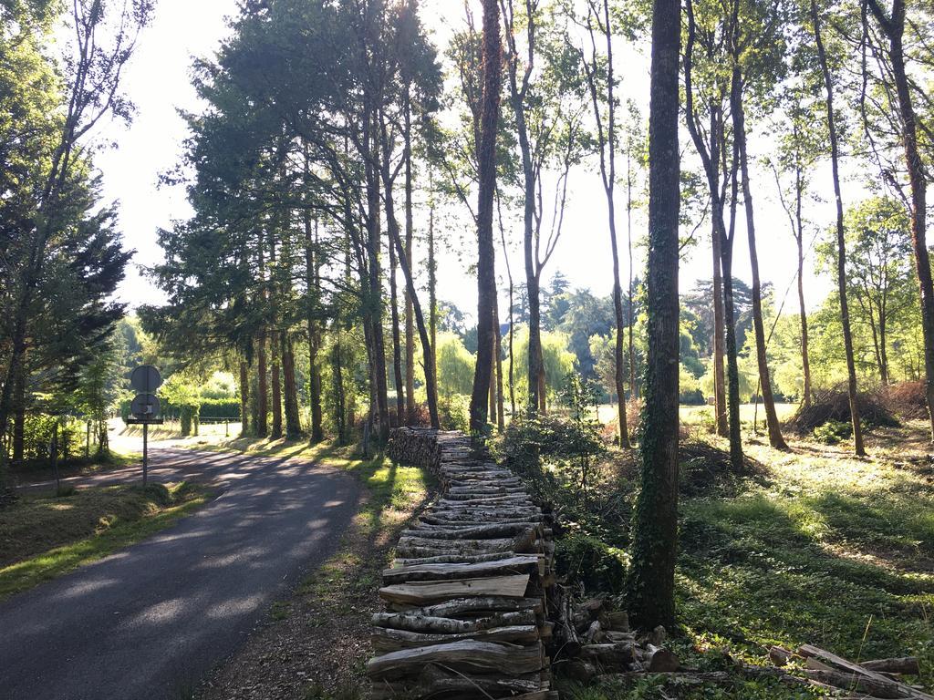 Faverolles-sur-Cher Studio Avec Terrasse Abbaye D'Aigueviveゲストハウス エクステリア 写真