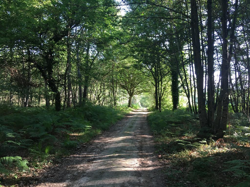 Faverolles-sur-Cher Studio Avec Terrasse Abbaye D'Aigueviveゲストハウス エクステリア 写真