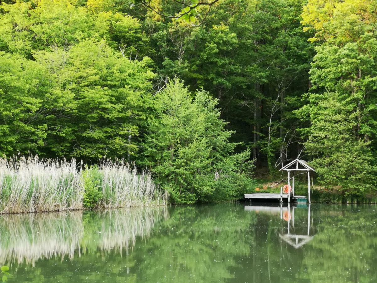 Faverolles-sur-Cher Studio Avec Terrasse Abbaye D'Aigueviveゲストハウス エクステリア 写真