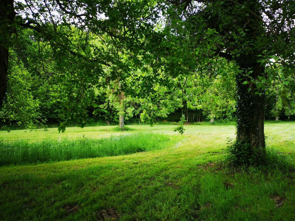 Faverolles-sur-Cher Studio Avec Terrasse Abbaye D'Aigueviveゲストハウス エクステリア 写真