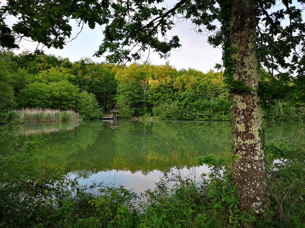 Faverolles-sur-Cher Studio Avec Terrasse Abbaye D'Aigueviveゲストハウス エクステリア 写真