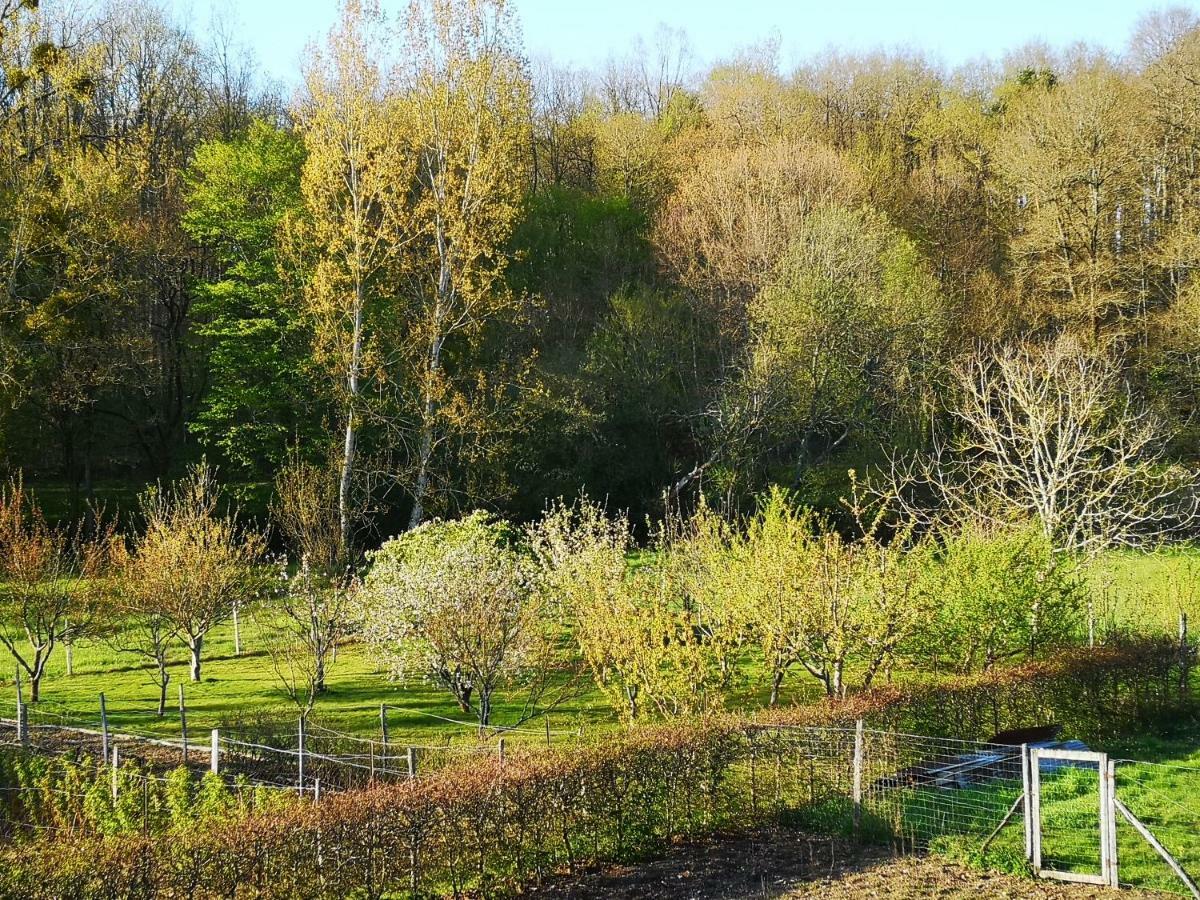 Faverolles-sur-Cher Studio Avec Terrasse Abbaye D'Aigueviveゲストハウス エクステリア 写真