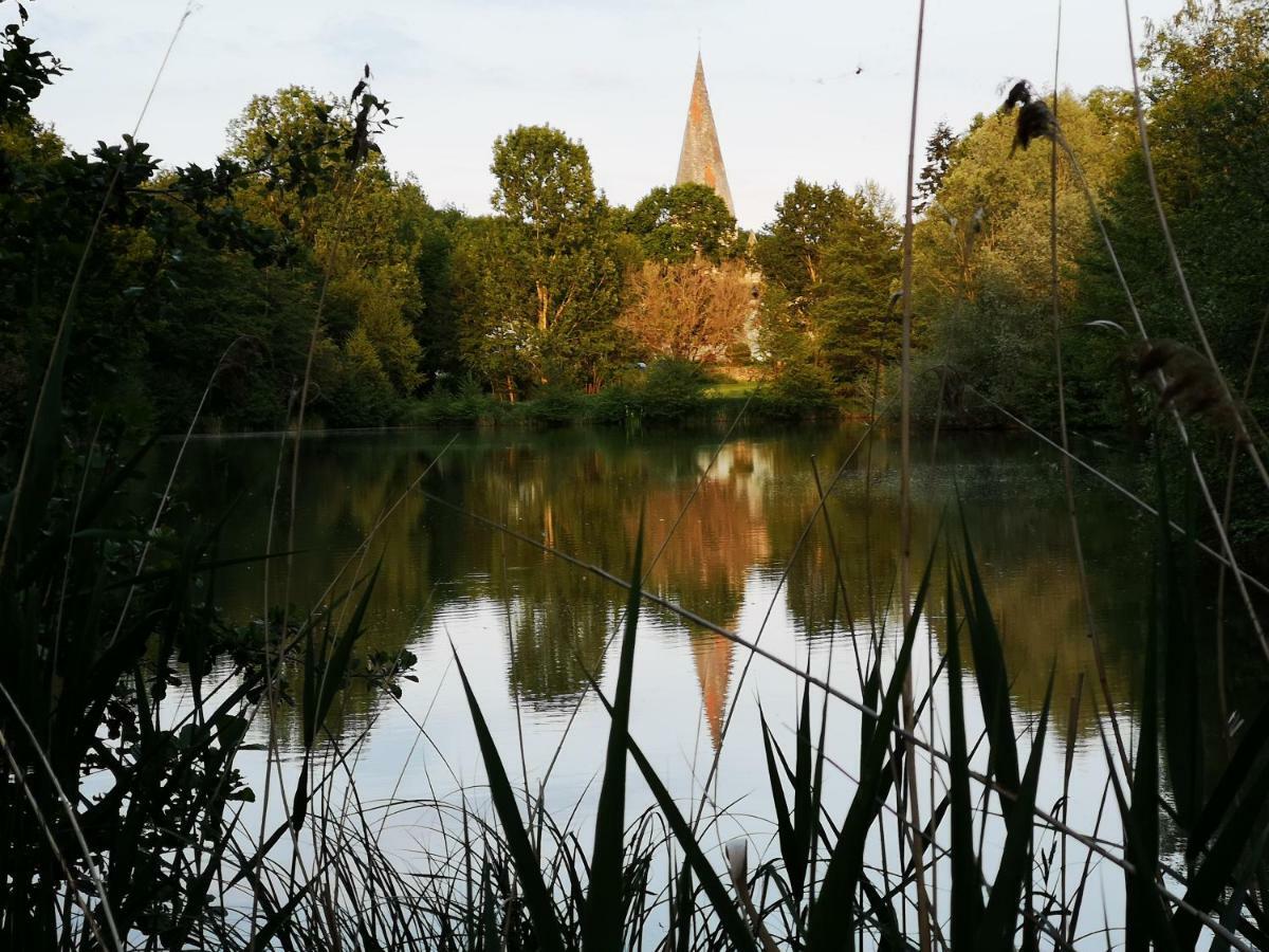 Faverolles-sur-Cher Studio Avec Terrasse Abbaye D'Aigueviveゲストハウス エクステリア 写真